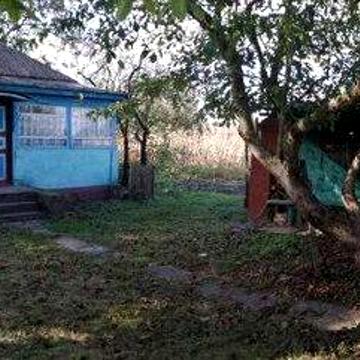 Продам  господарство в  смт Дігтярі