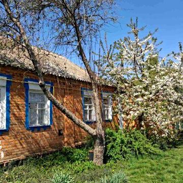 Продається будинок з надвірними будівлями
