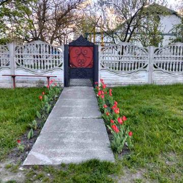 Продам будинок в с. Михайлівка Лебединського району