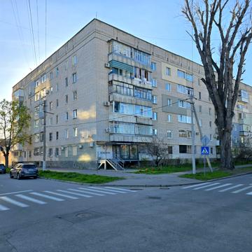 Академіка Маслова вул. (Радянська), 29