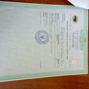 Будинок із земельною ділянкою