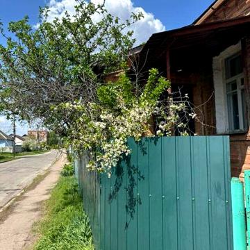 Частина будинку Миргород