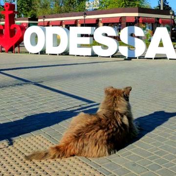 Бугаївська вул., 44а
