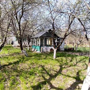 Продам дачу. СТ «Яблунька», Богданівка, Київська обл.,