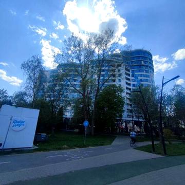 Здається в оренду елітна квартира