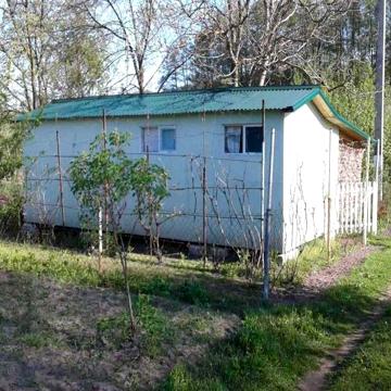 Охайна бюджетна дача біля лісу