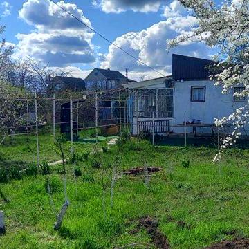 Продам дачу, участок на "Чайке", слева от Алтестово, дорога в Палийово