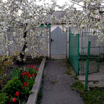 Продам будинок в Зачепилівці.