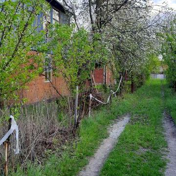Продам дачу,с.Абазівка