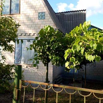 Садівниче товариство" Хімік" Черкаської обл. Золотоніський р-н