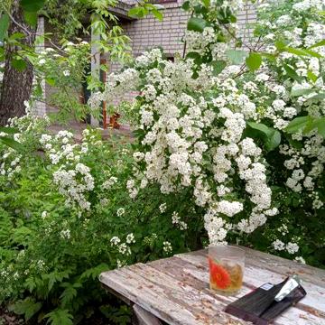 Продам трикімнатну квартиру у Лисянці