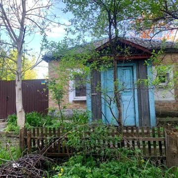 Здається будинок у центрі Корсуня-Шевченківського, новий ремонт, сад