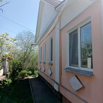 Різдвяна вул.