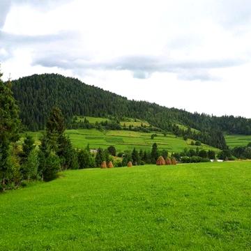 Продам 2 деревяні  будинки