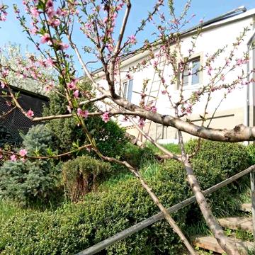 Продаж будинку мРомни.вул.Пригородська