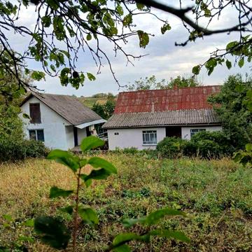 Продається затишний будинок у Городку — тиха вулиця, гарний краєвид