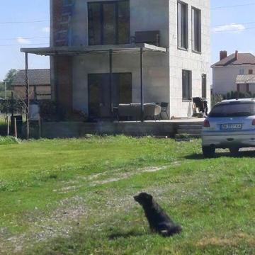 Довгострокова оренда 1к Дім Затишна вулиця