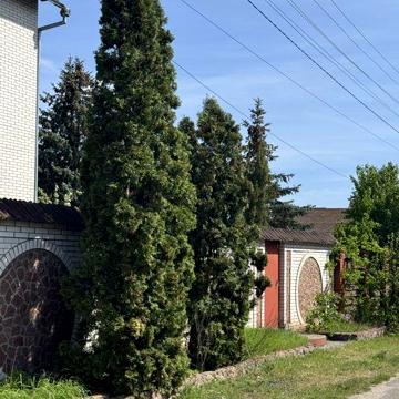 Оренда будинку для бізнесу,Стоянка, 500м2, Макдональдс, КЛО