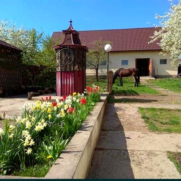 Продам будинок, господарство.(Мальованка)