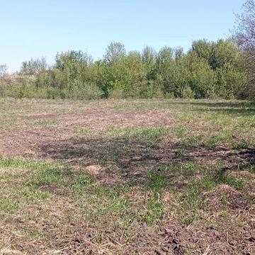 Продам будинок із земельною ділянкою Липовецький р-н, від Власника