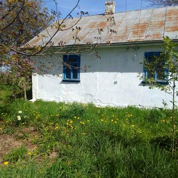 Продається будинок з земельною ділянкою в с. Бранів