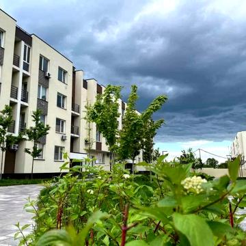 Михайла Дерегуса вул. (Янтарна), 42