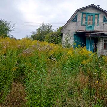 Оренда. Дачний будинок з садибною ділянкою, р-н Півці, с/т Зарічне