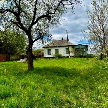 Добротна хата біля річки, смт Ріпки! A11