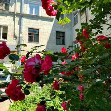 Квартира у м.Кропивницький, 4 кімн., сталінка, центр