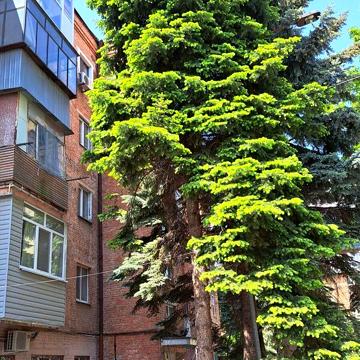 Довгострокова оренда 1к Квартира Старокозацька (Комсомольська) вулиця