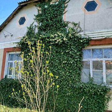 Продам будинок в с.Шамраївка