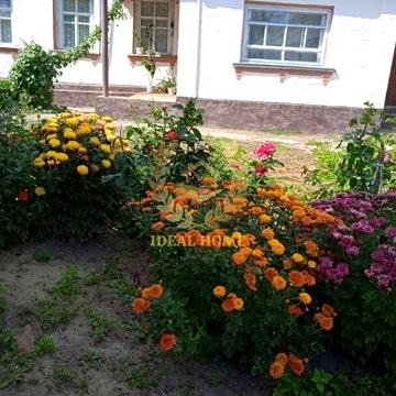 Продам будинок у  Житних Горах