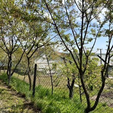 Продаж! Будинок та ділянка 25 сот Старе Село недалко від Львова