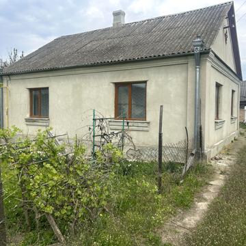 Зелена