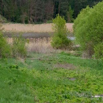 Продам дом в селе Ясногородка (Фастовський район)