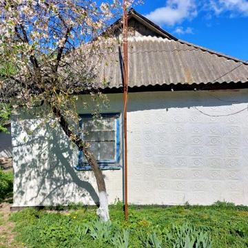 Житловий будинок на 37 сот. землі у центрі с. Нападівка Вінницької обл