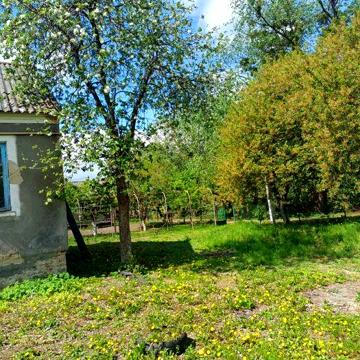 Половина будинку, 3 кімнати, 55,5 м. кв., 3,6 сот.