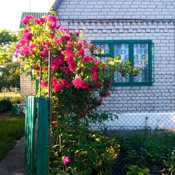 Продам дачу район мед училище