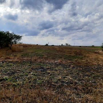 Приватизоване господарство с.Перківці