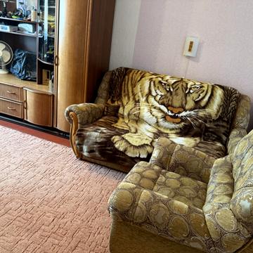 Зерновий пров., 5в