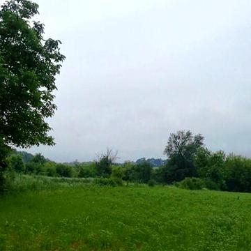 Продаж 1к Дім Лісова вулиця