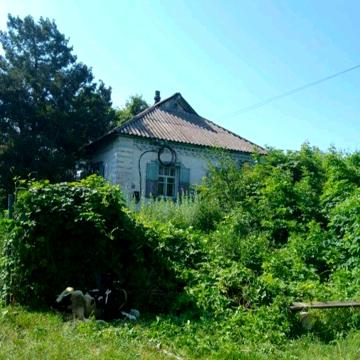 Сдам участок с ветхим домом в селе Редуты Полтавской области