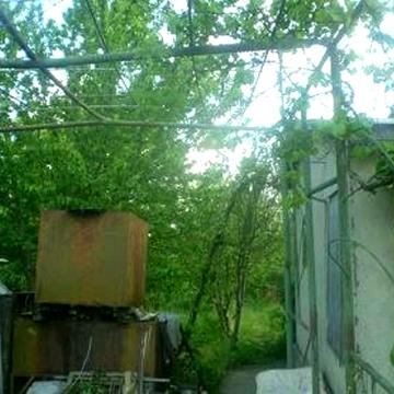 Продаю участок -дачу с. Барабой, кооператив "Альфа"