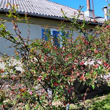 Продаємо будинок село Голубине Закарпатської