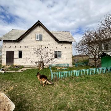 Коперника