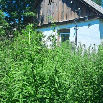 Продам земельну ділянку/будинок під забудову чи капітальний