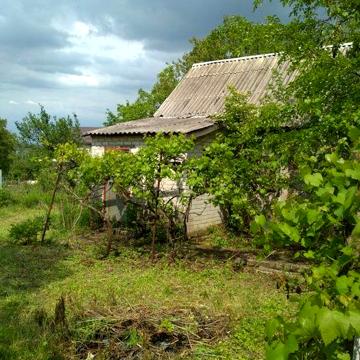 Дачу продам в Новокодацком районе рядом Лесопарк