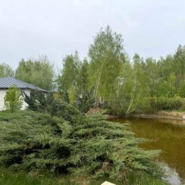 Продаж будинку з сауною та власним озером, 50 соток