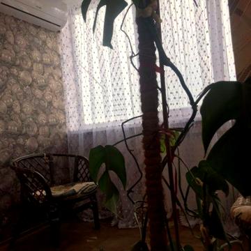 Сдам 2-комнатную квартиру на Калиновой/Правды БЕЗ КОМИССИИ