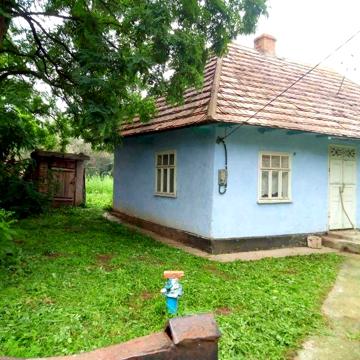 Ділянка з будинком під житло, дачу, біля р.Дністер.